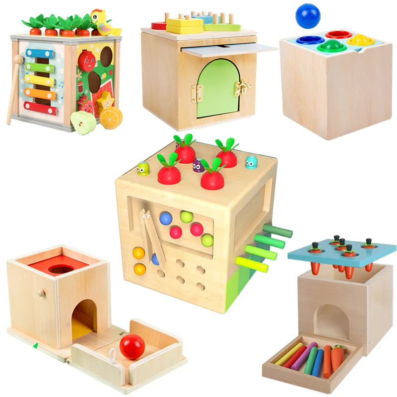 Montessori Wooden Shape Matching Toys